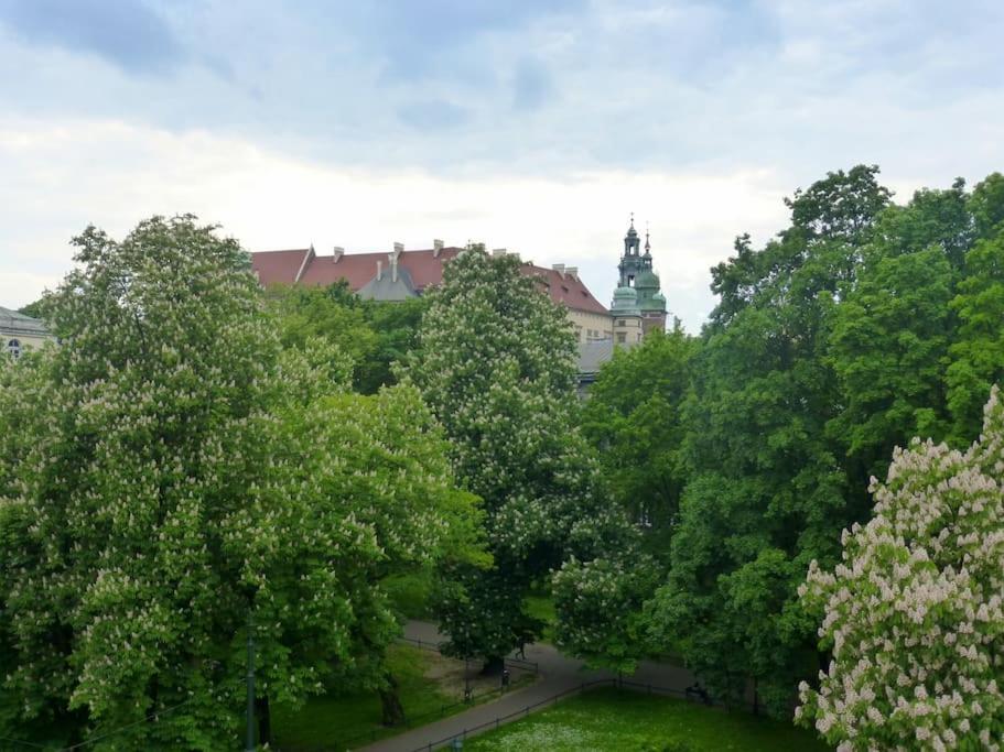 Apartament Gertrudy Belle Lägenhet Krasków Rum bild